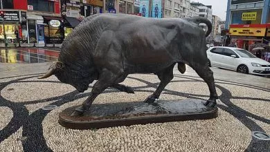כיכר השור באיסטנבול - מידע, טיפים איך מגיעים ועוד